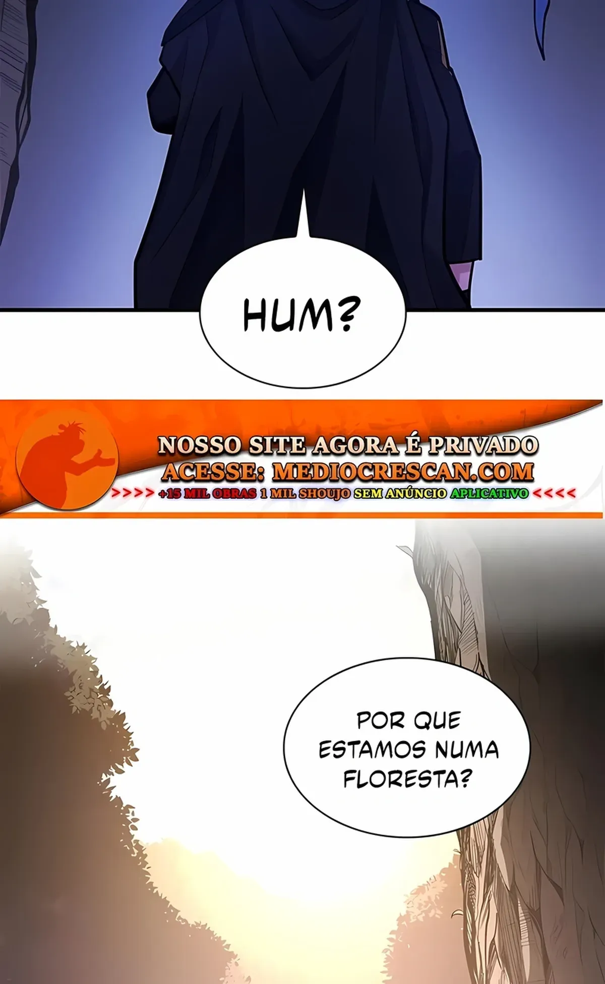 Página 113