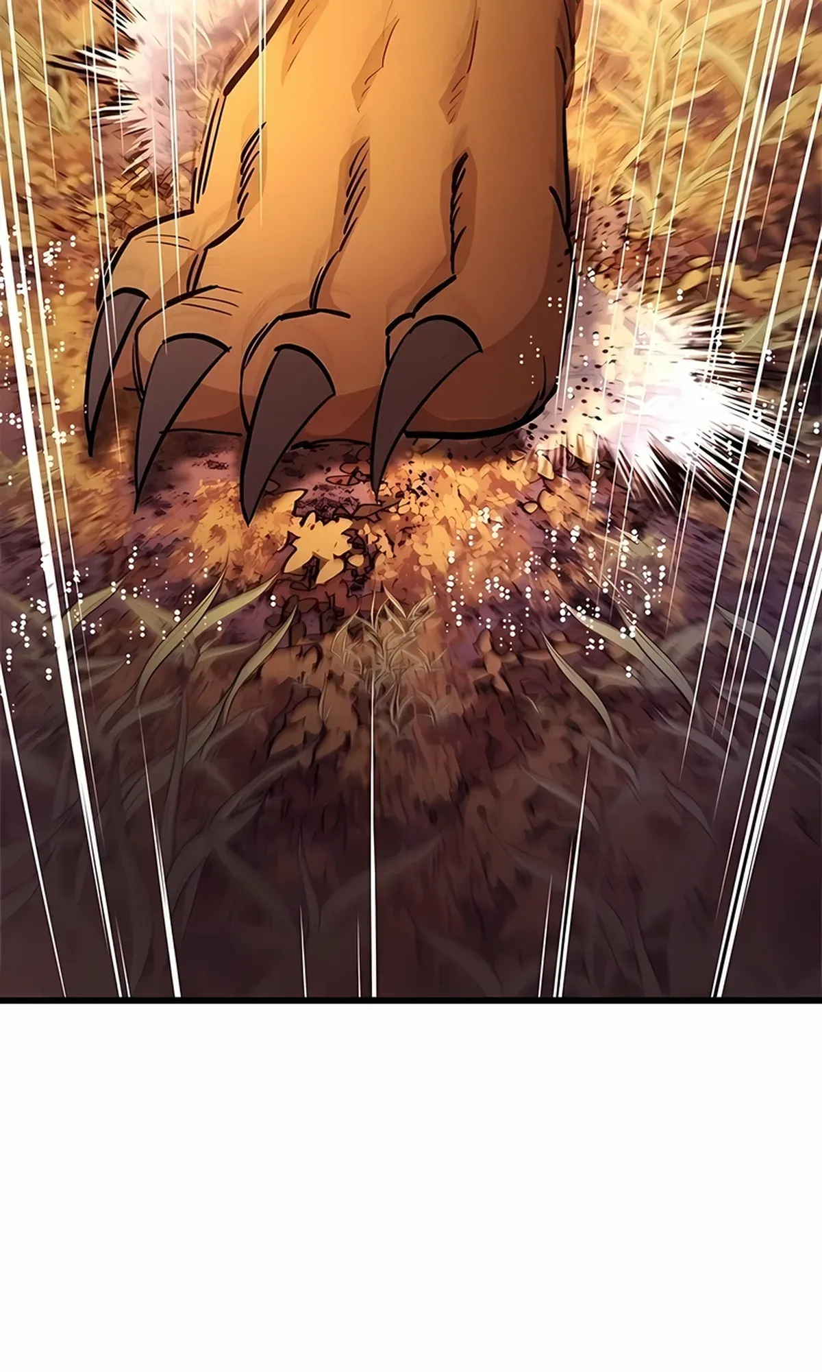 Página 51