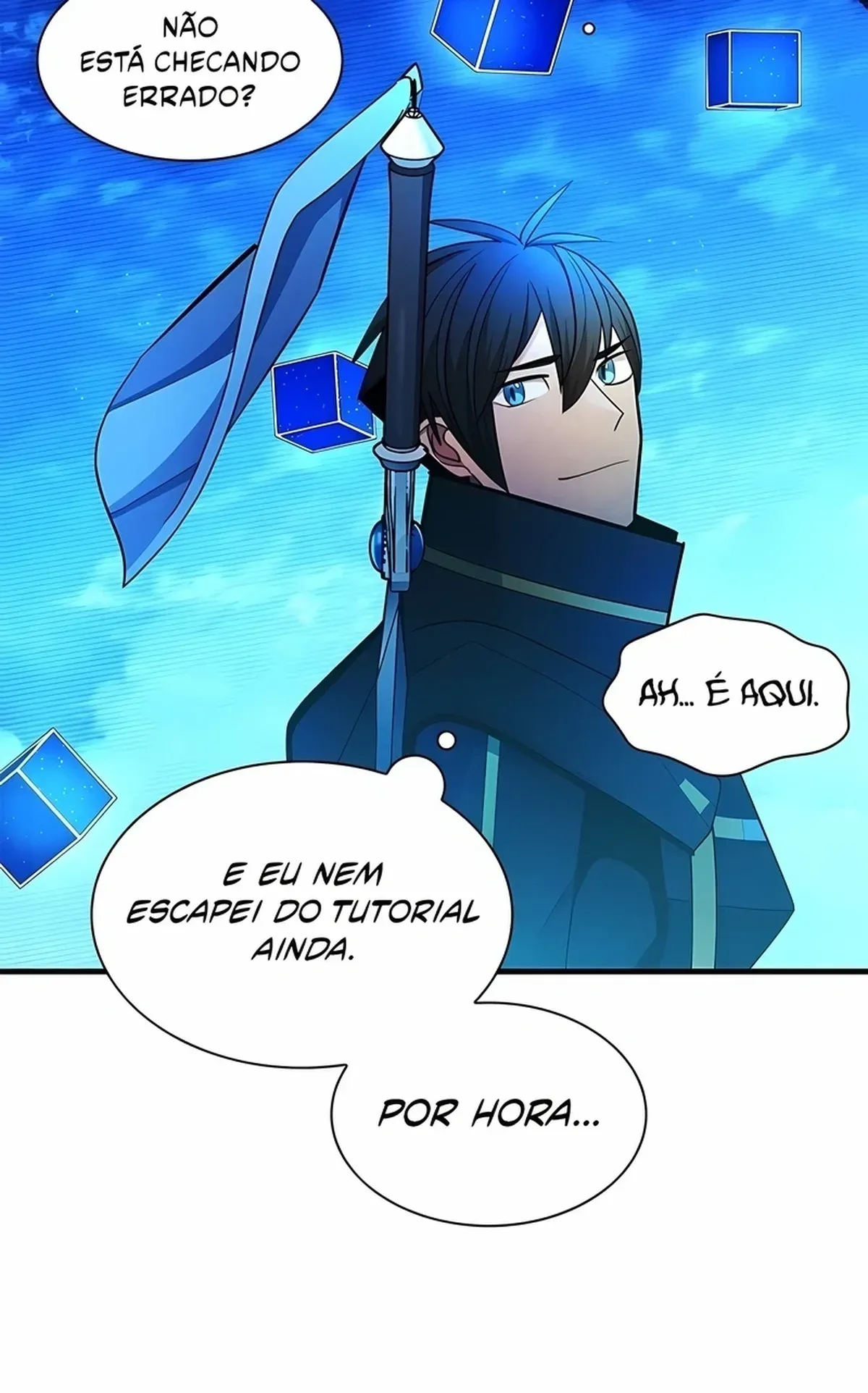 Página 116
