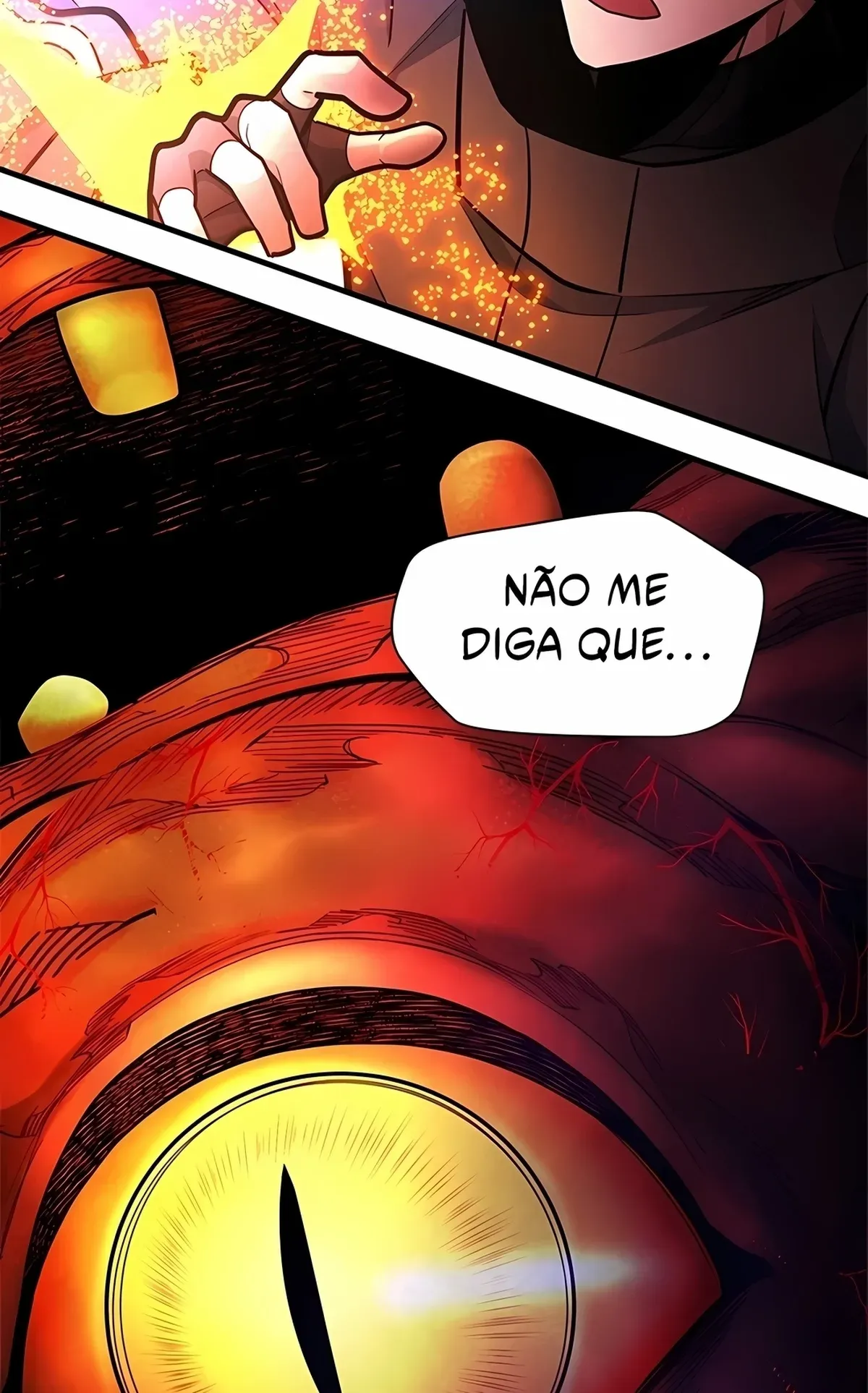 Página 51