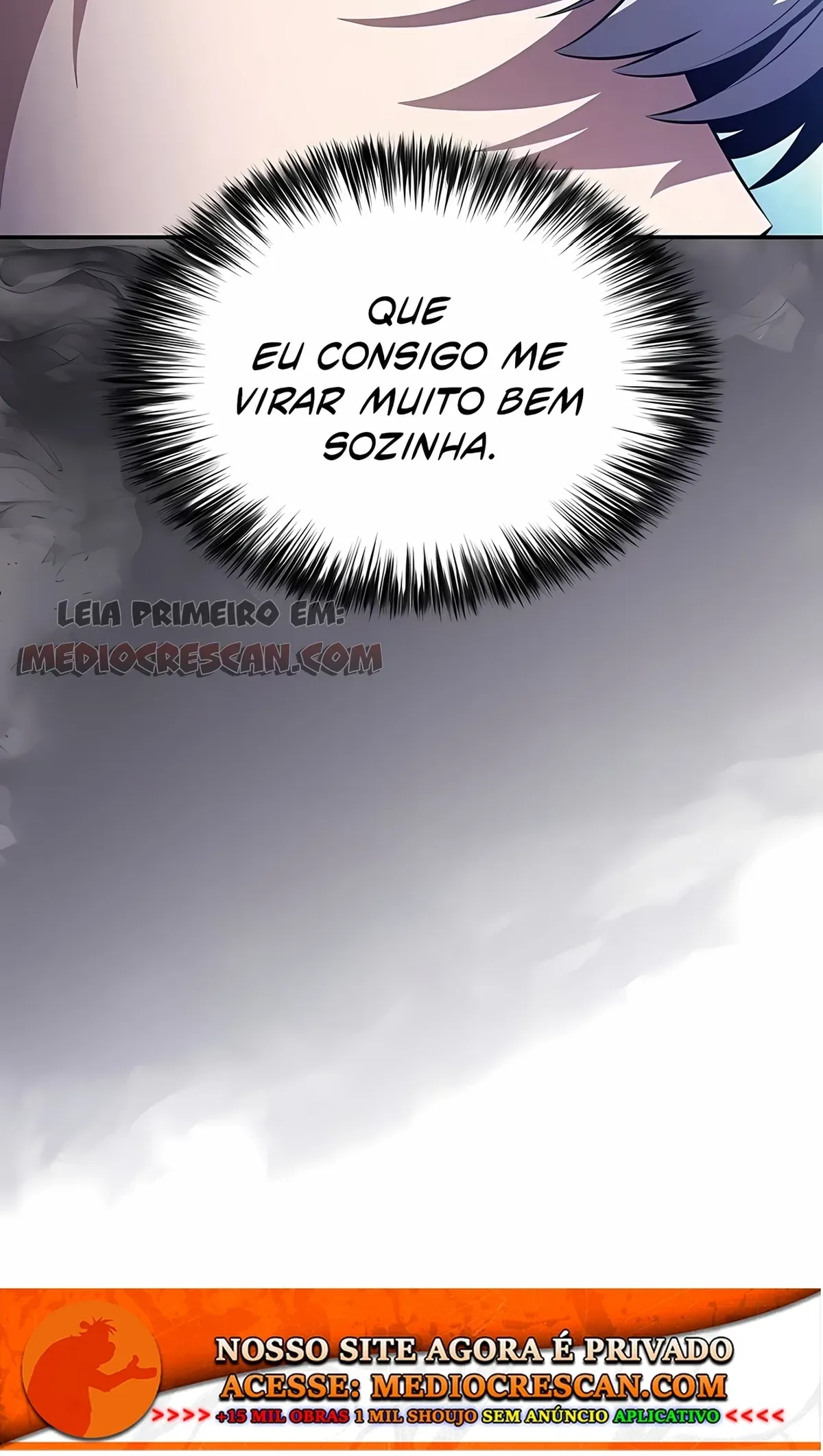 Página 111