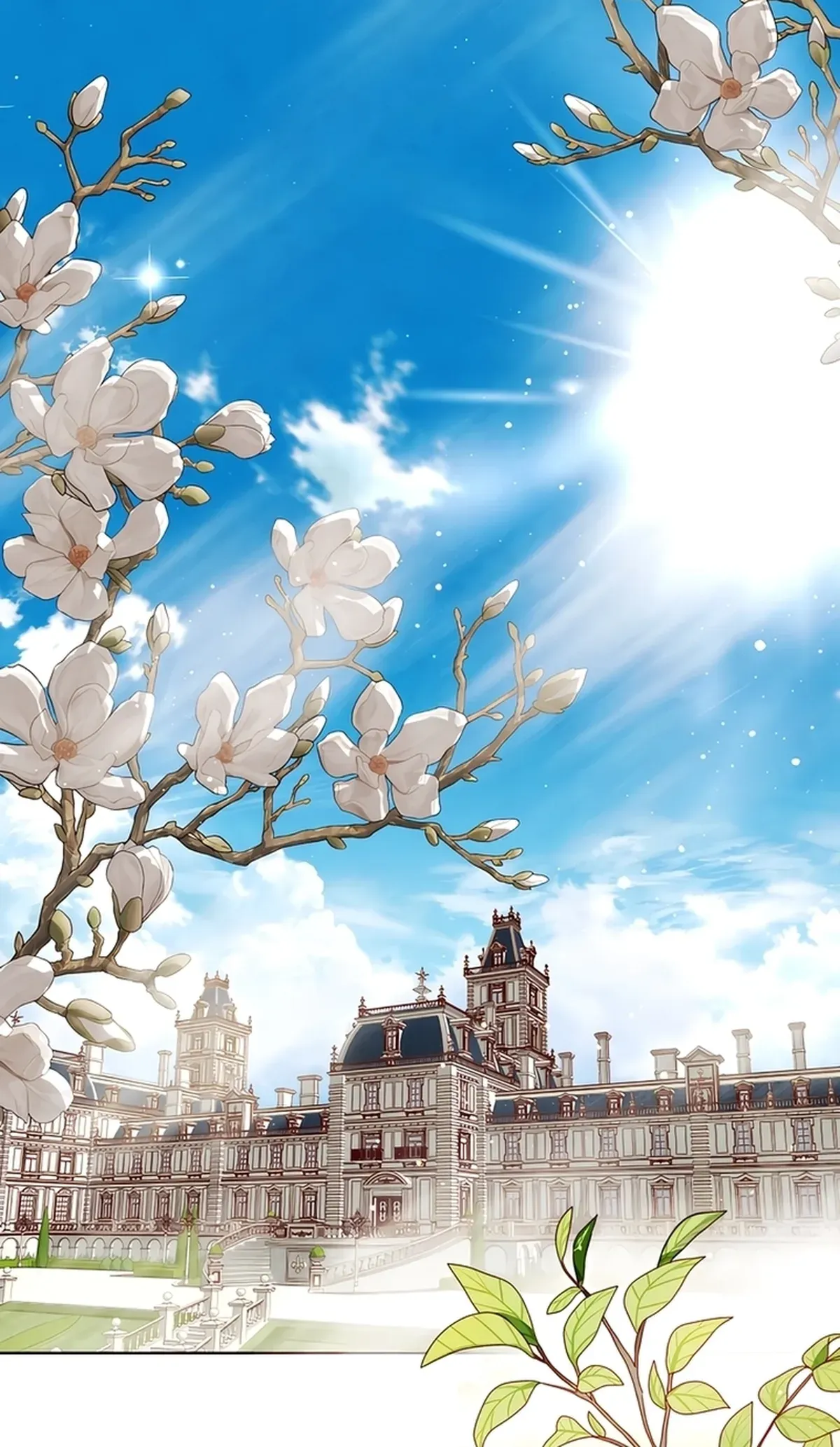 Página 24
