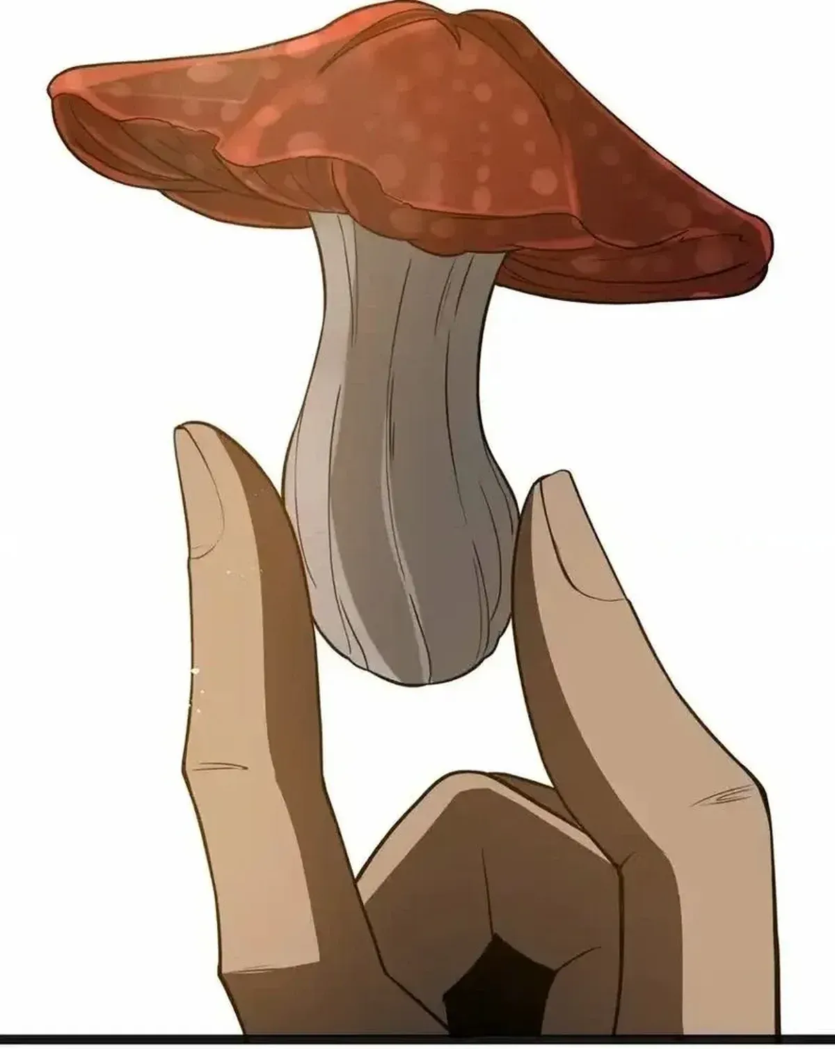 Página 53