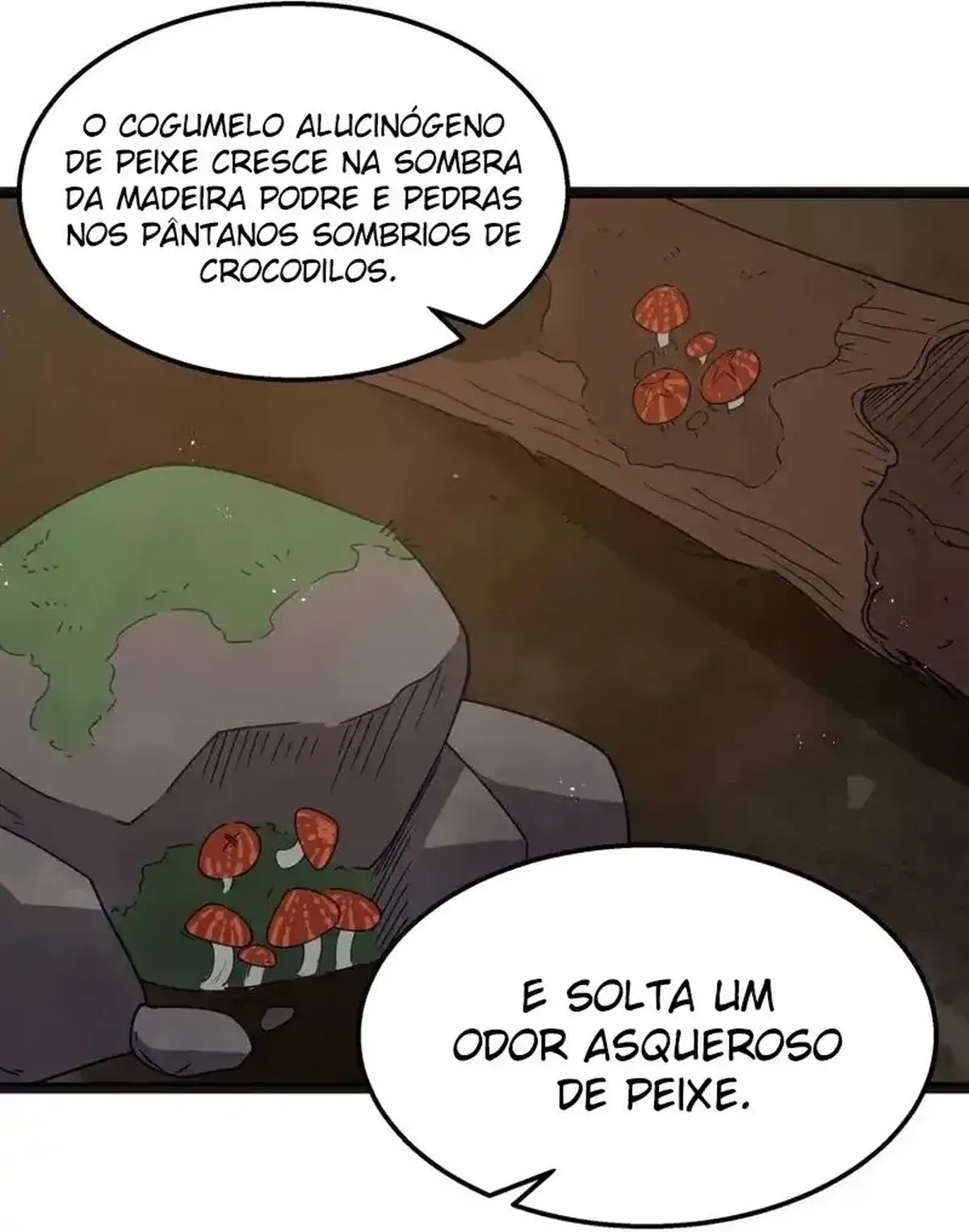 Página 55