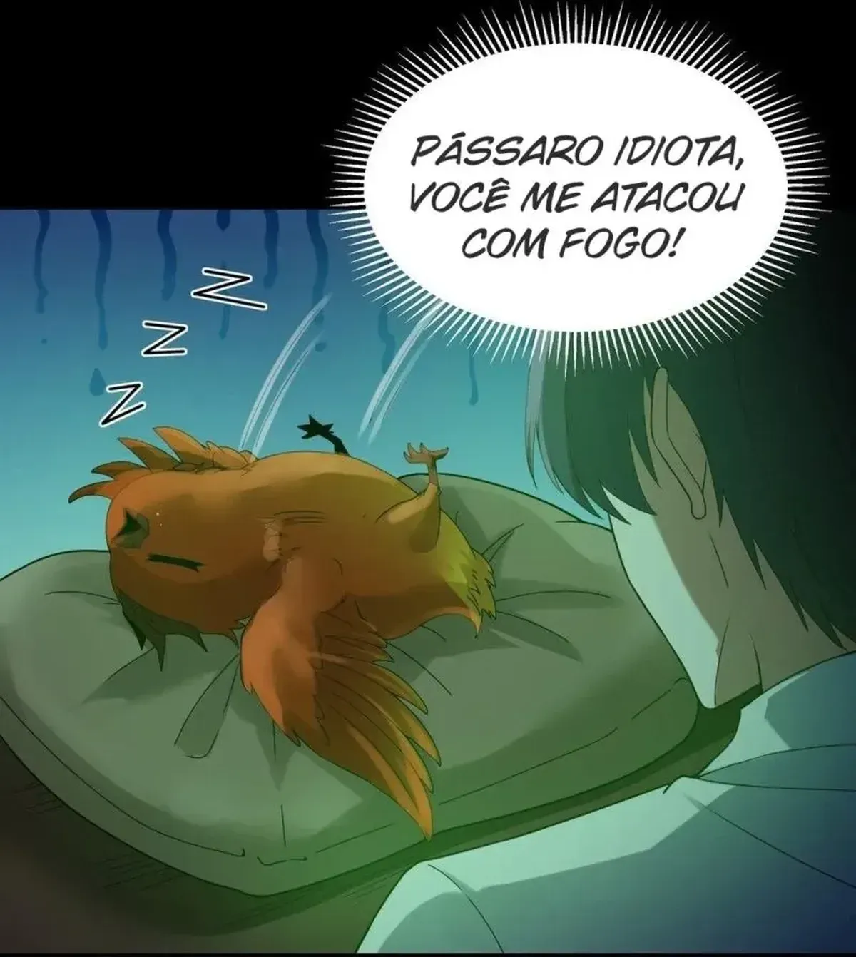 Página 11