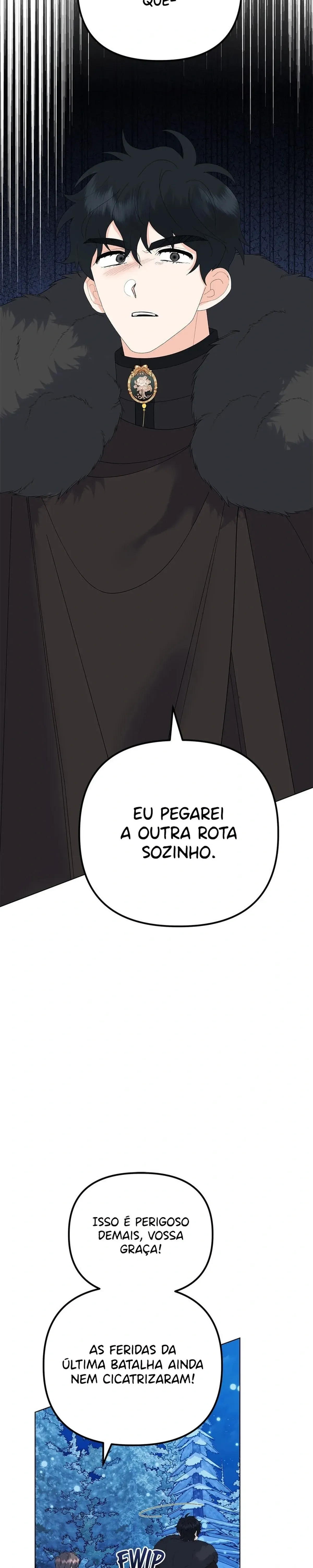 Página 43