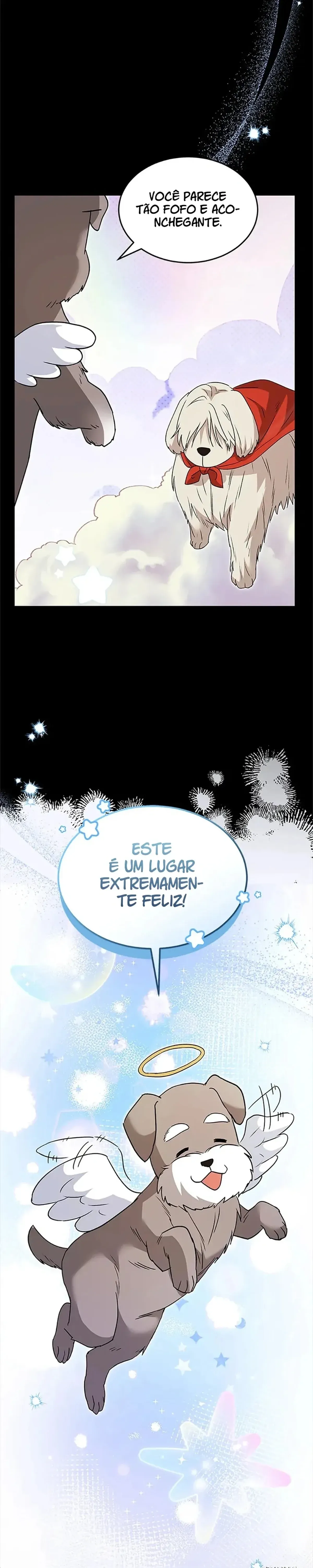 Página 27