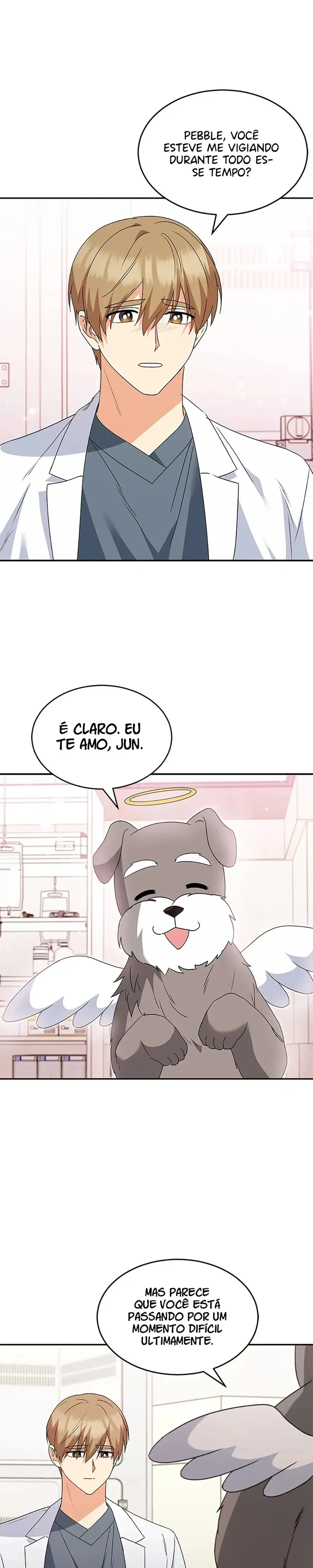 Página 20