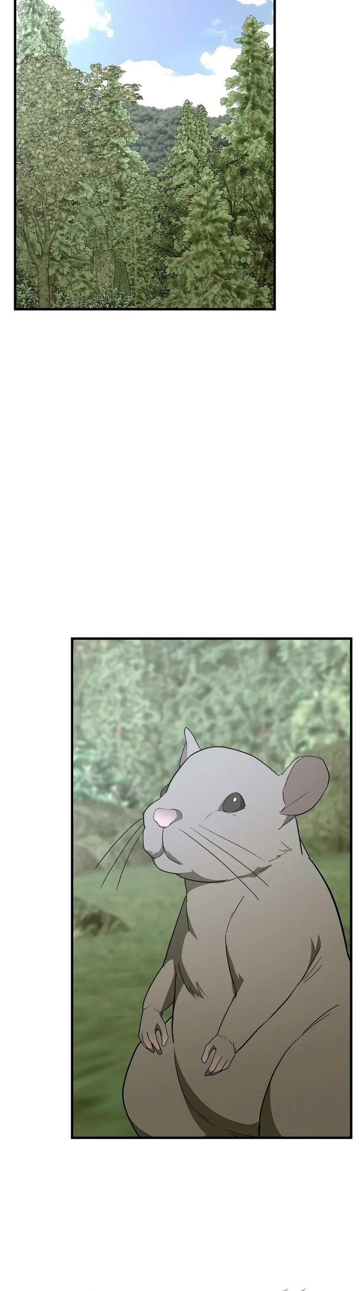 Página 45