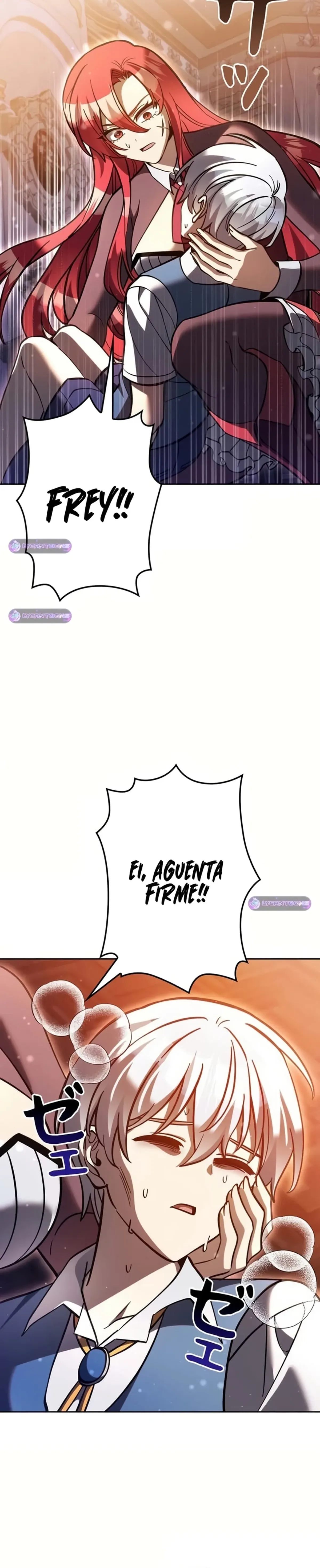 Página 29
