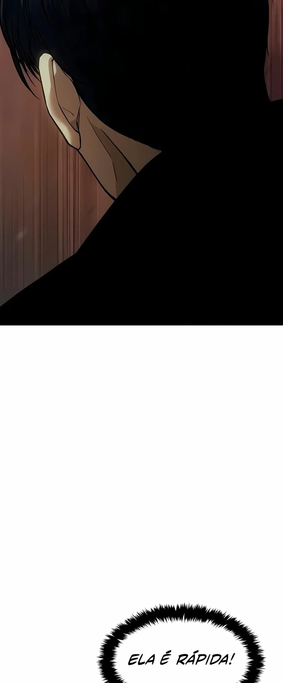 Página 113