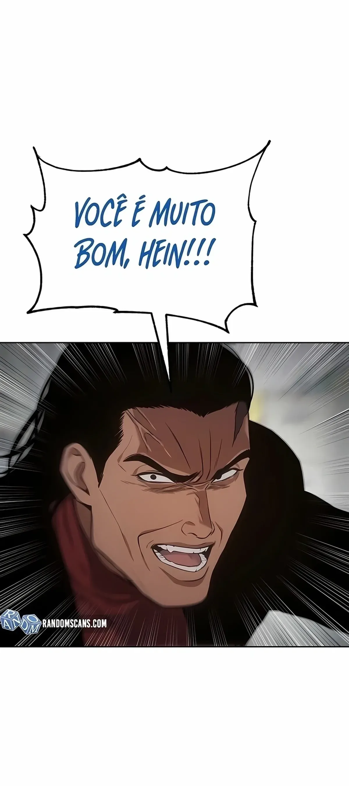 Página 100
