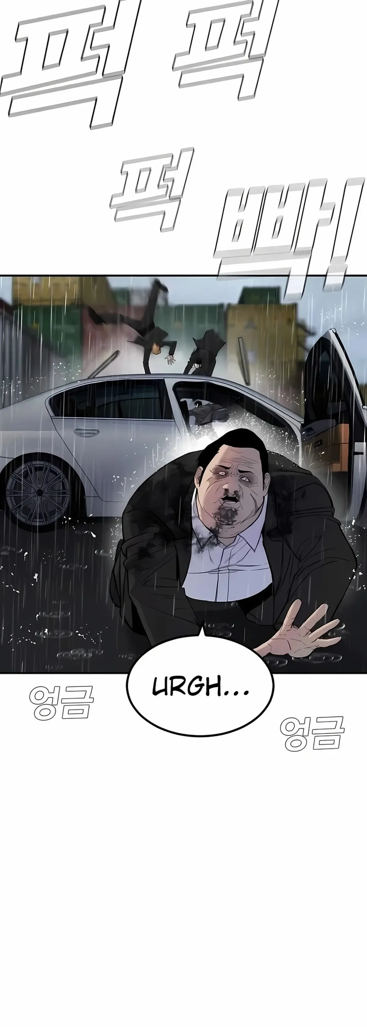 Página 81