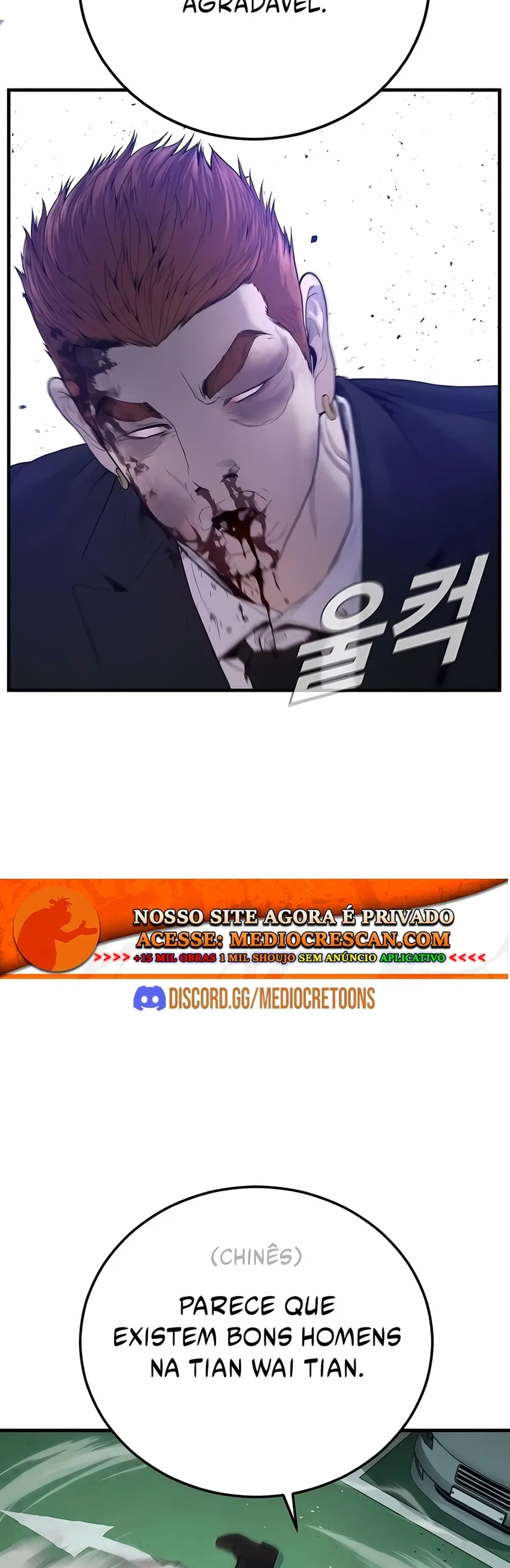 Página 100