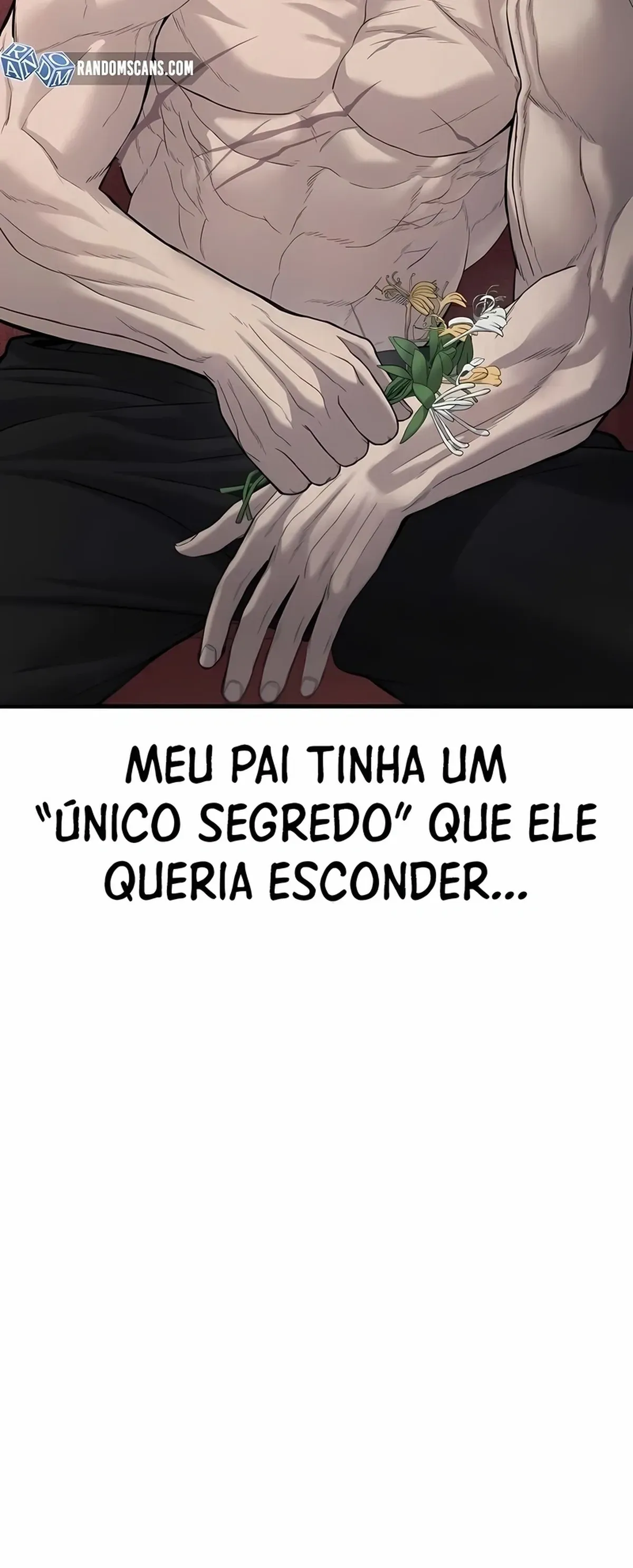 Página 117
