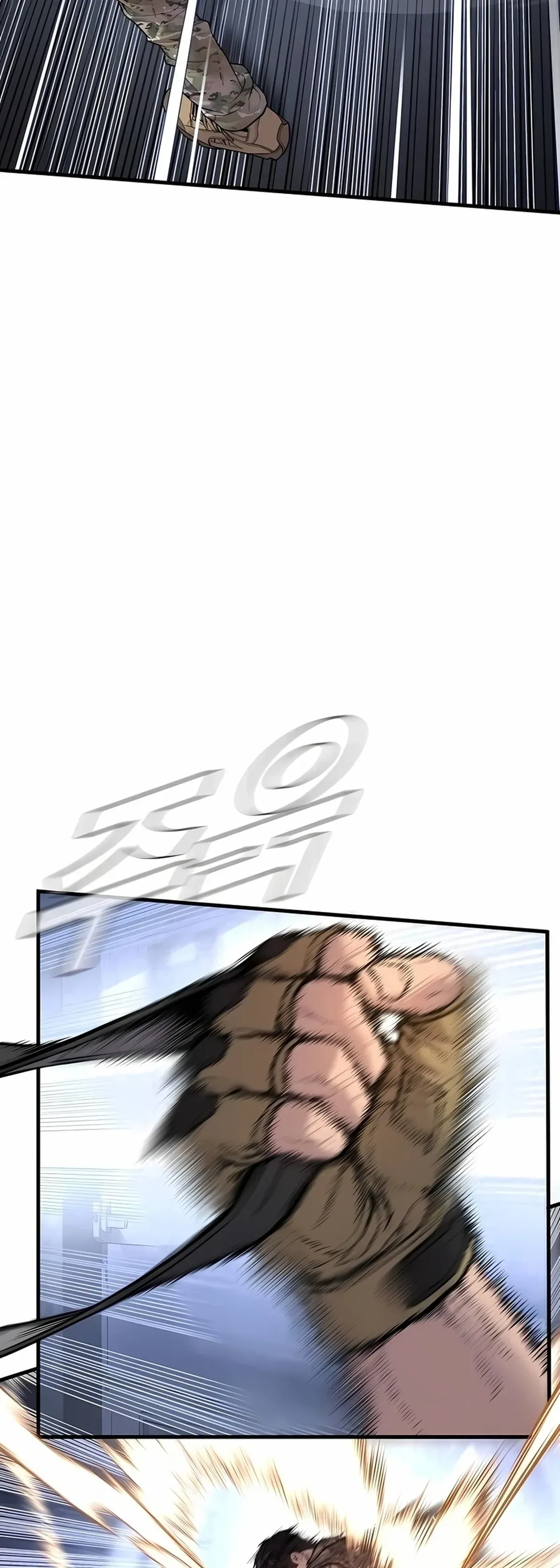 Página 81