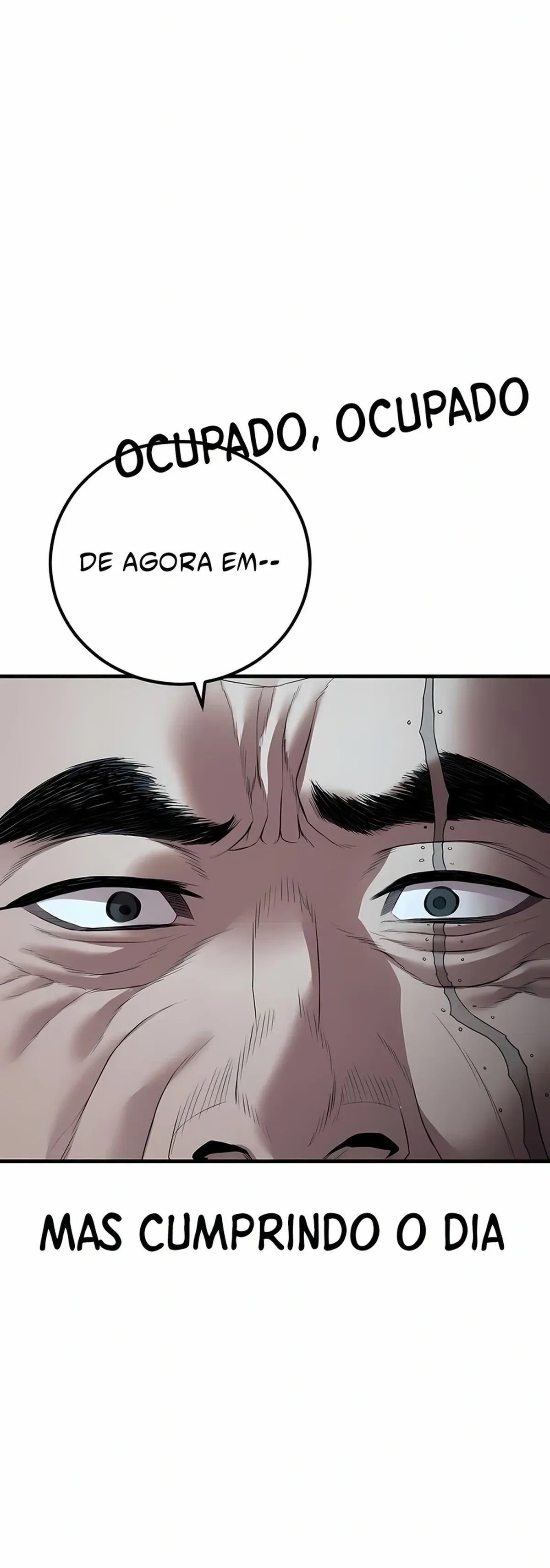 Página 113