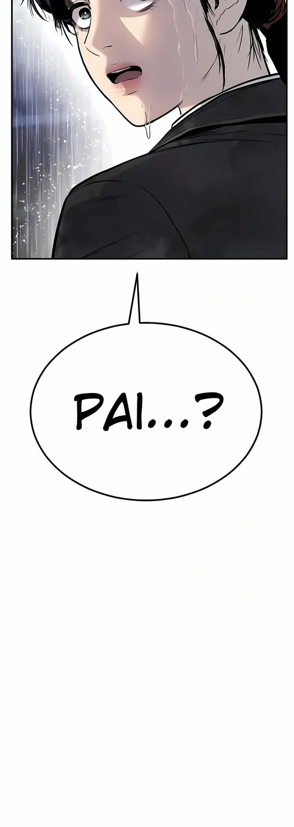 Página 101