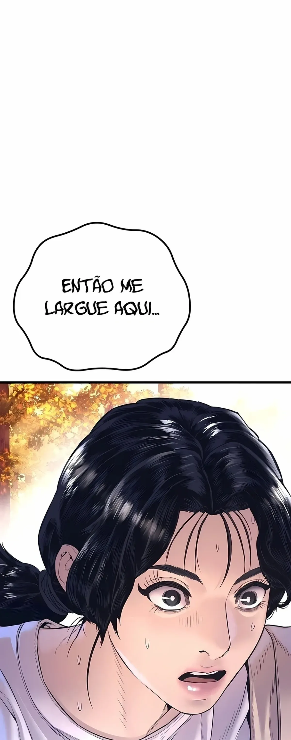 Página 100