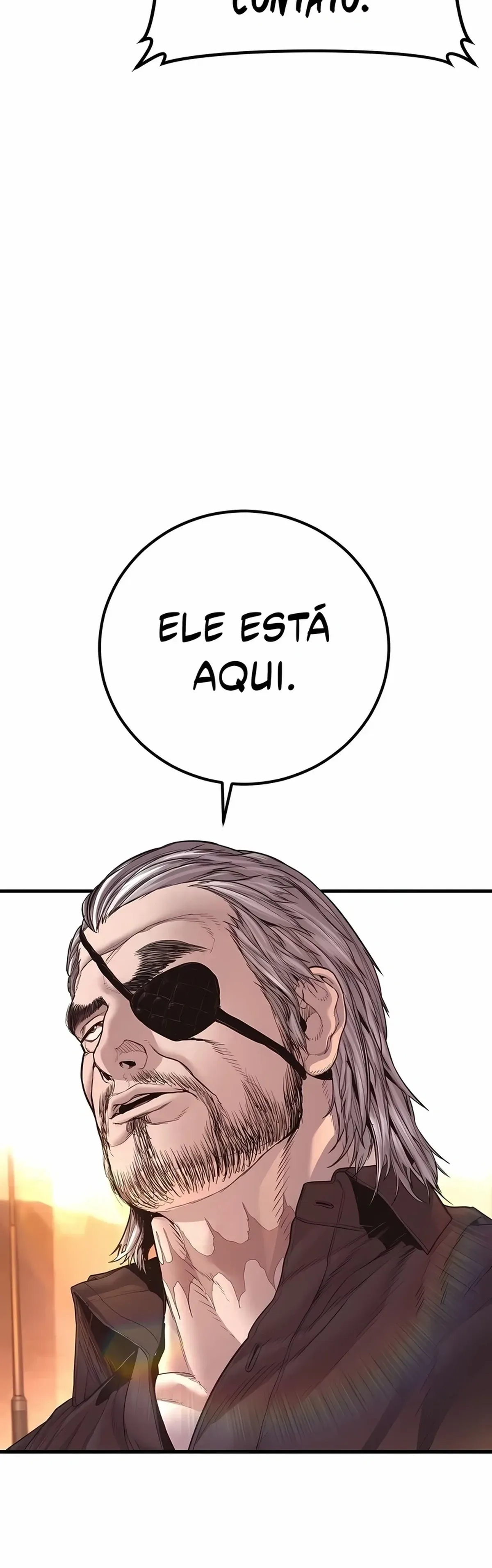 Página 100