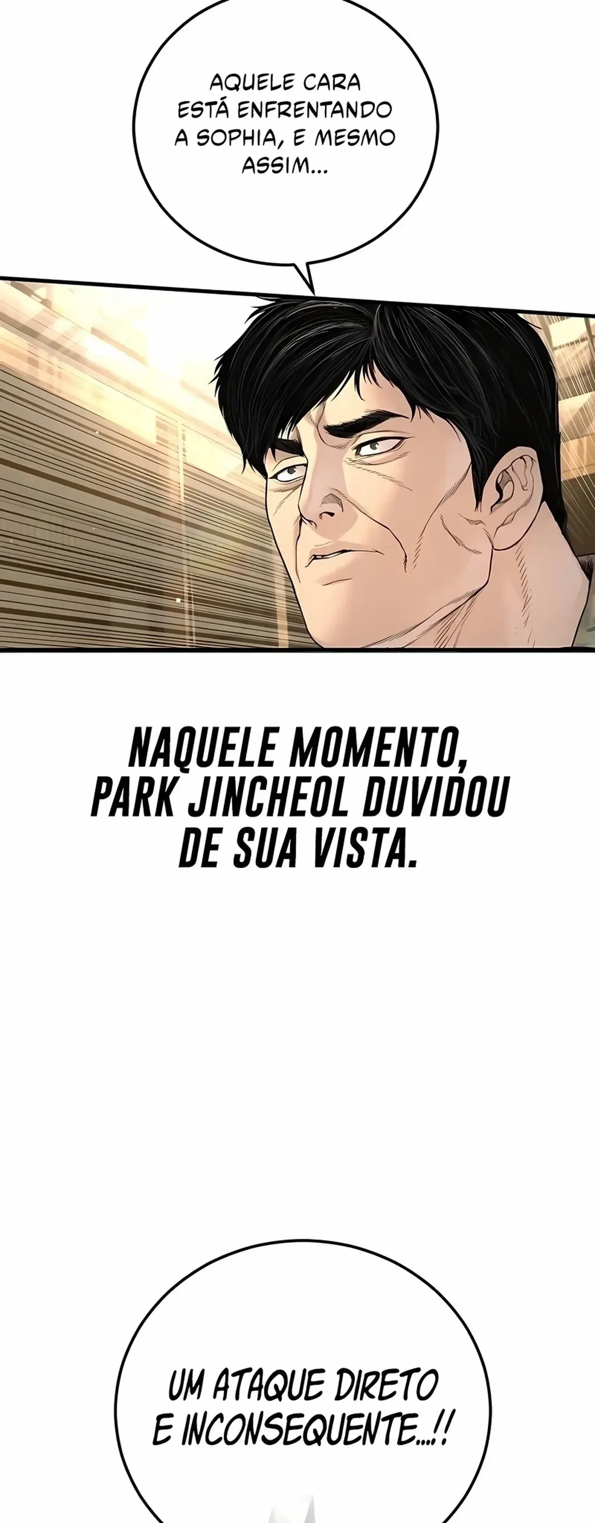 Página 102
