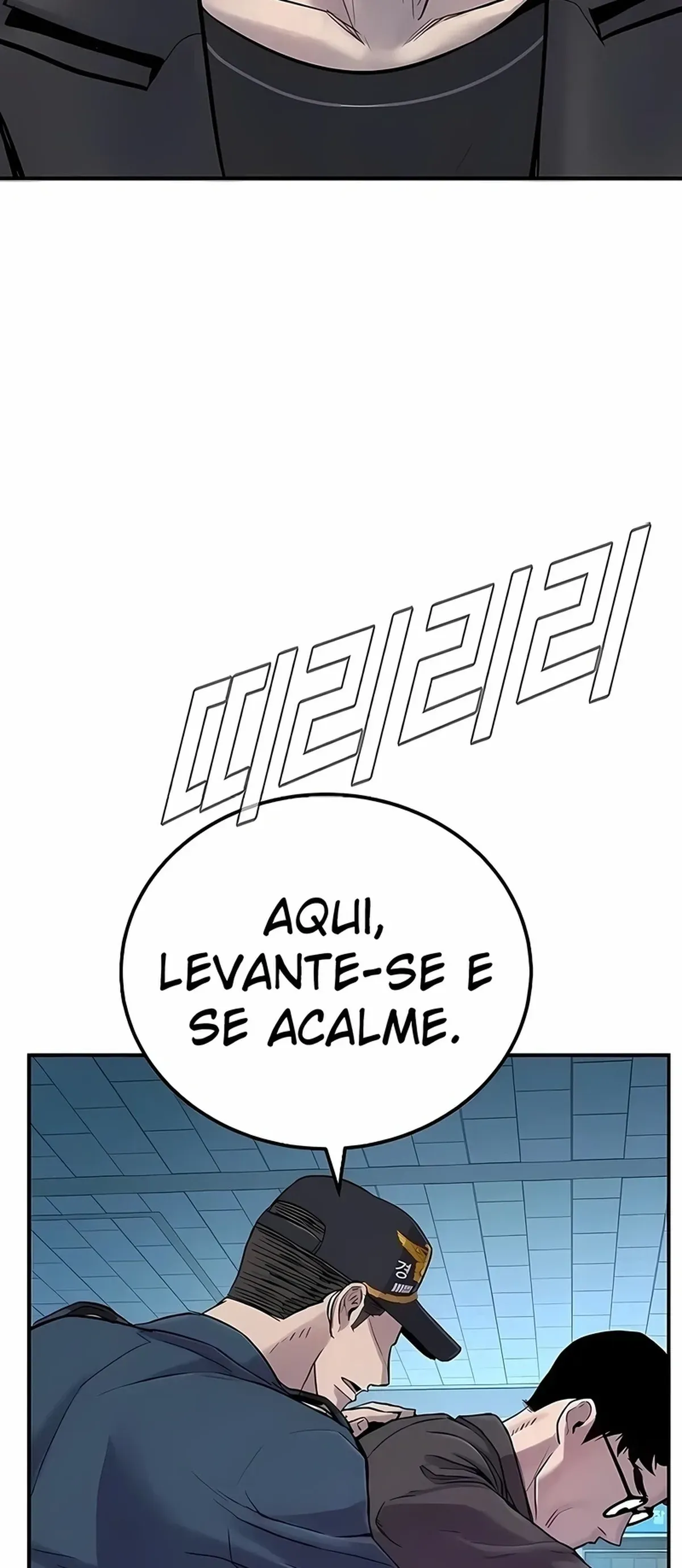 Página 102