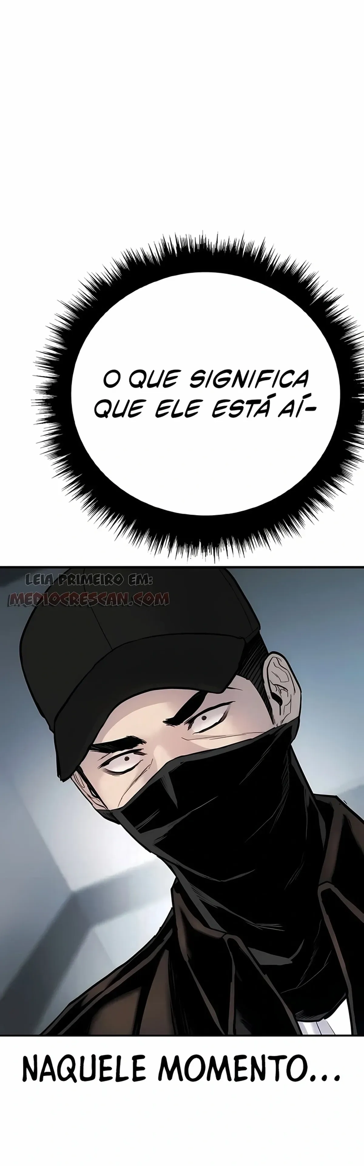 Página 113
