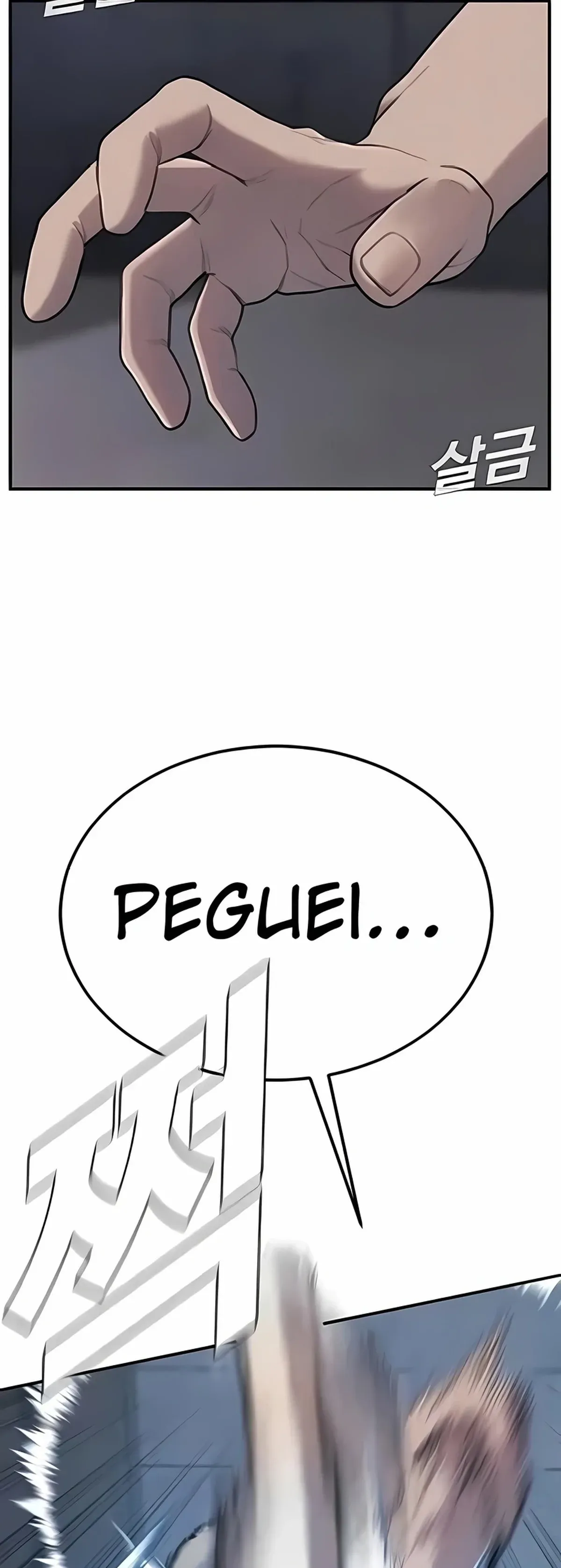 Página 46