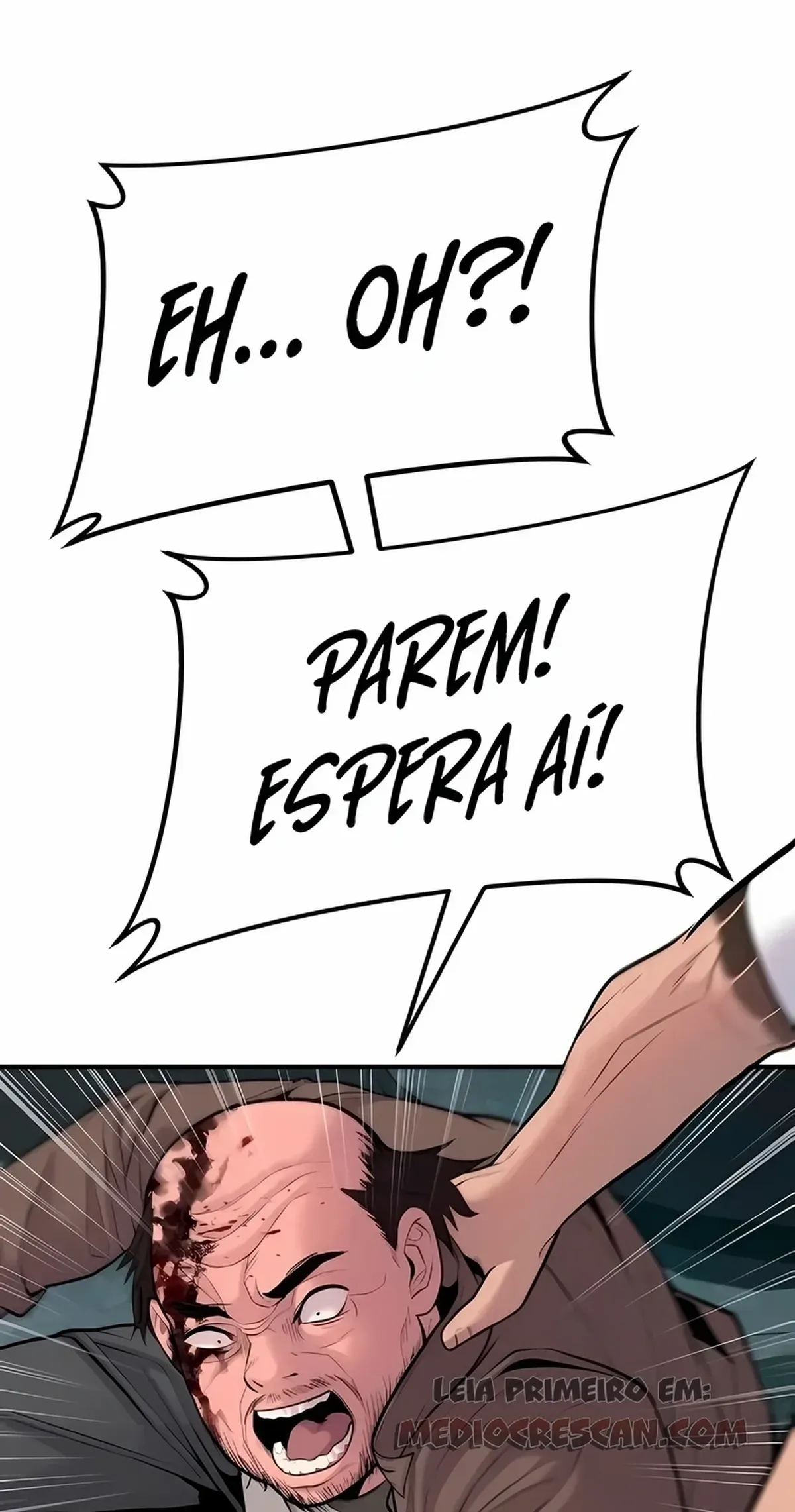 Página 102
