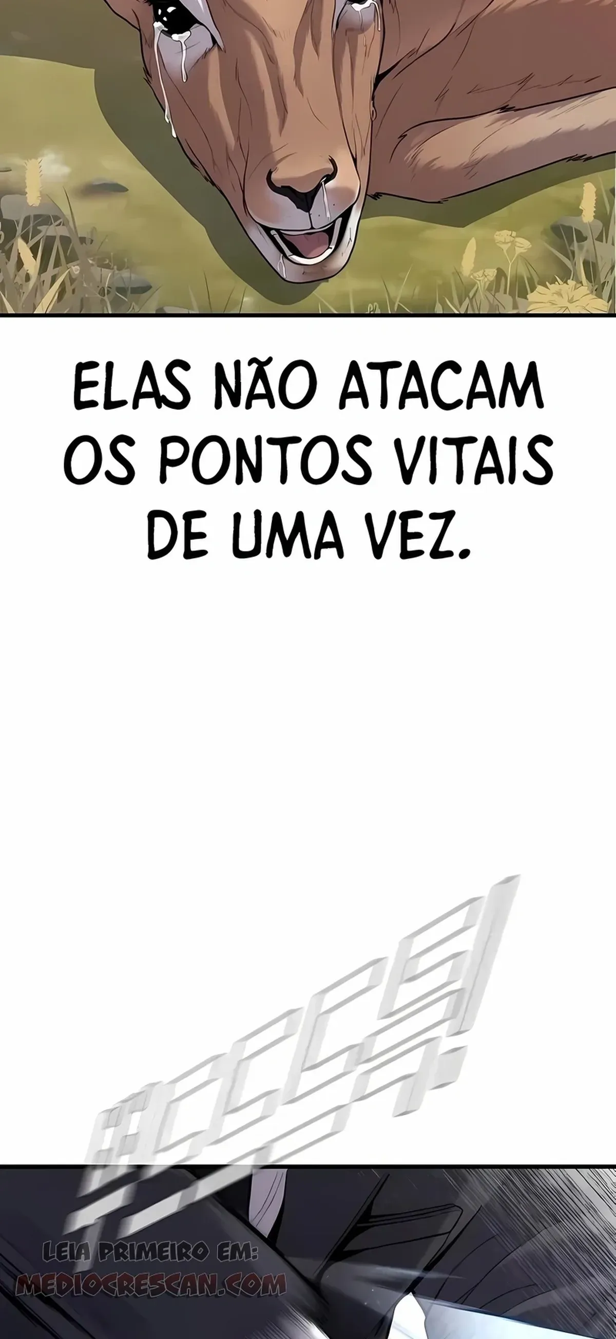 Página 49