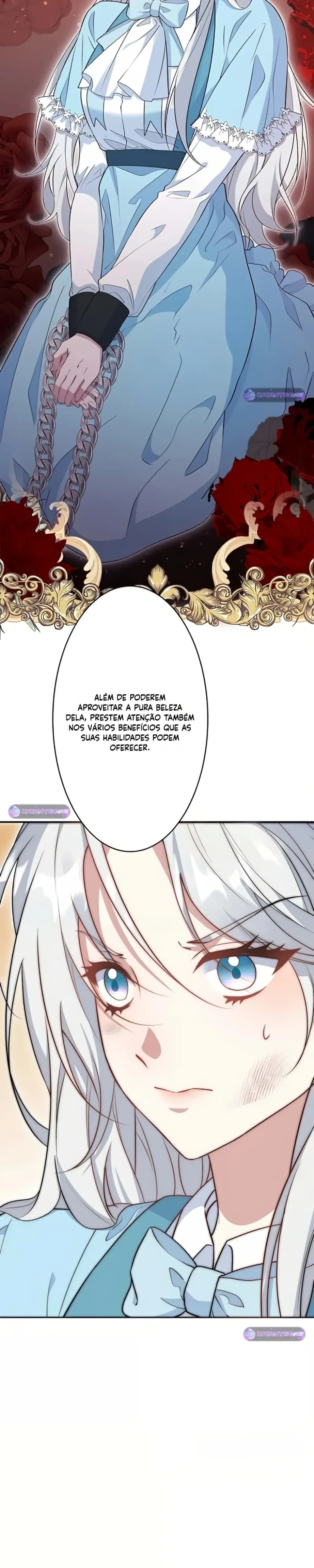 Página 29