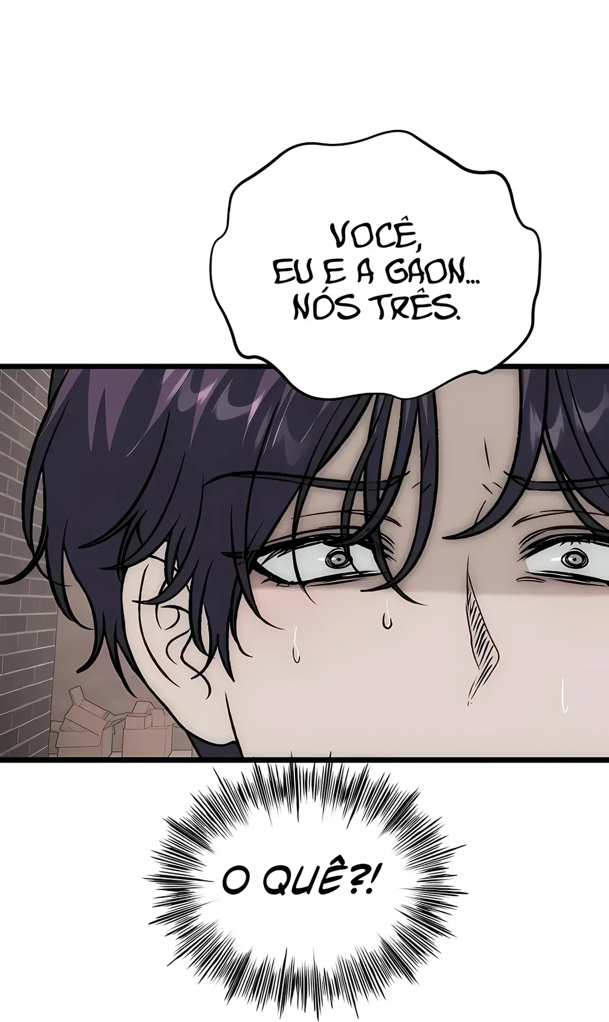 Página 101