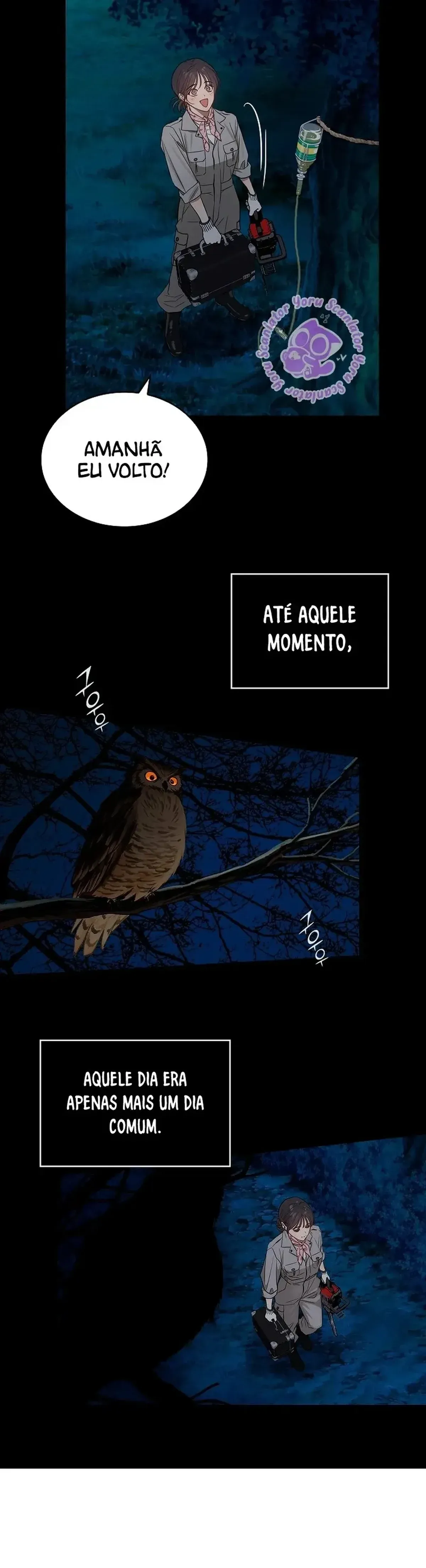 Página 13