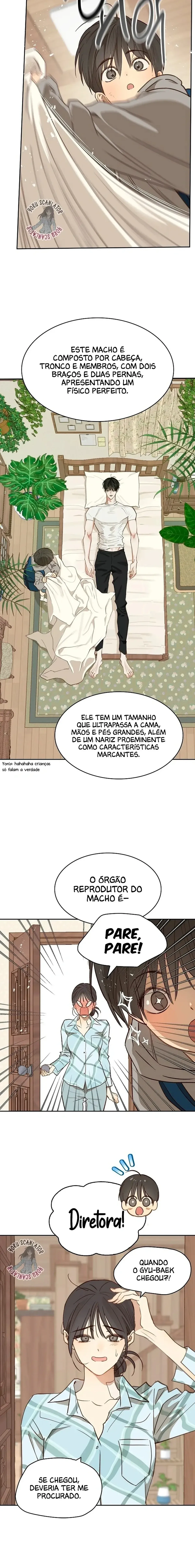Página 11