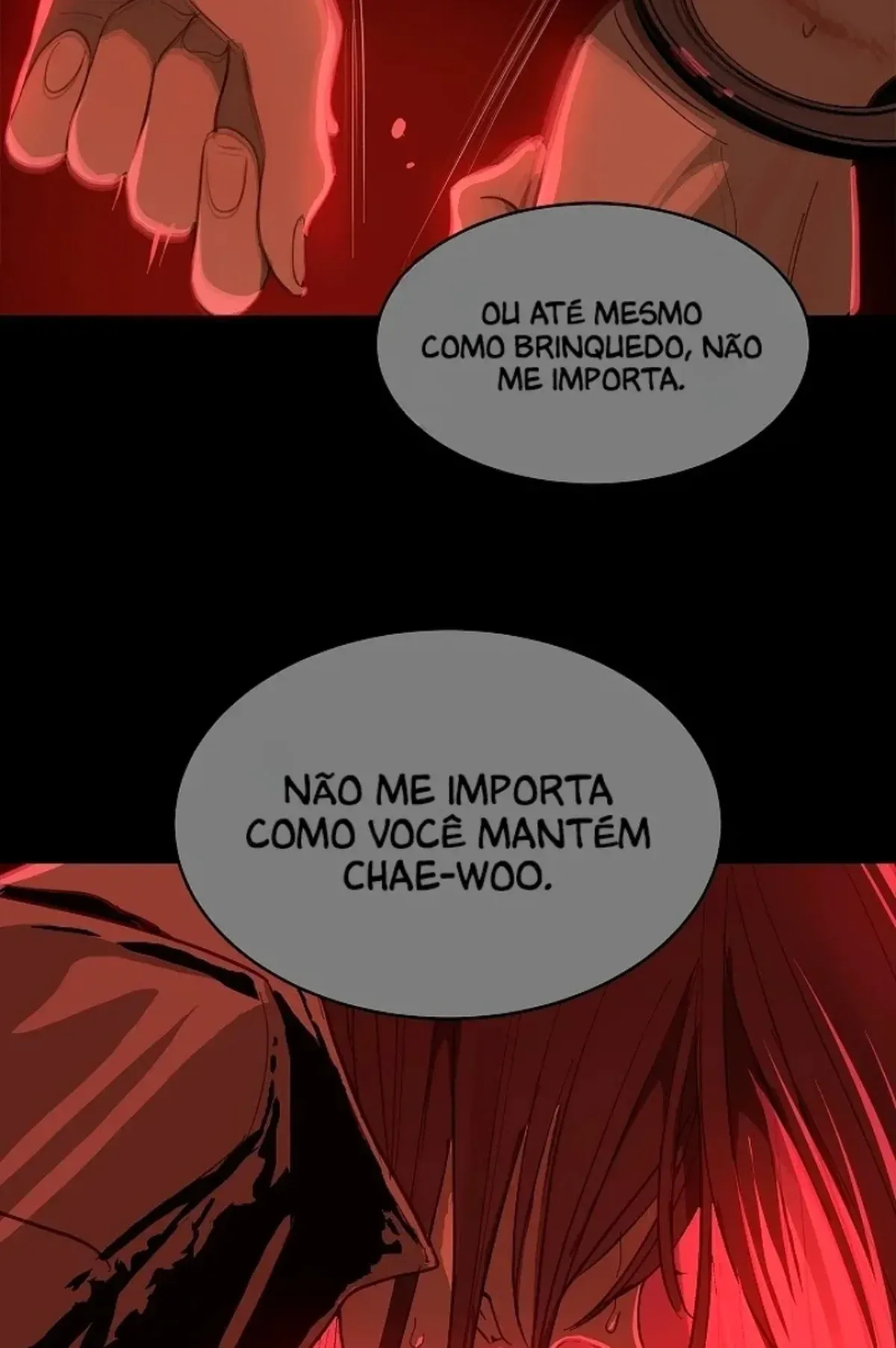 Página 100