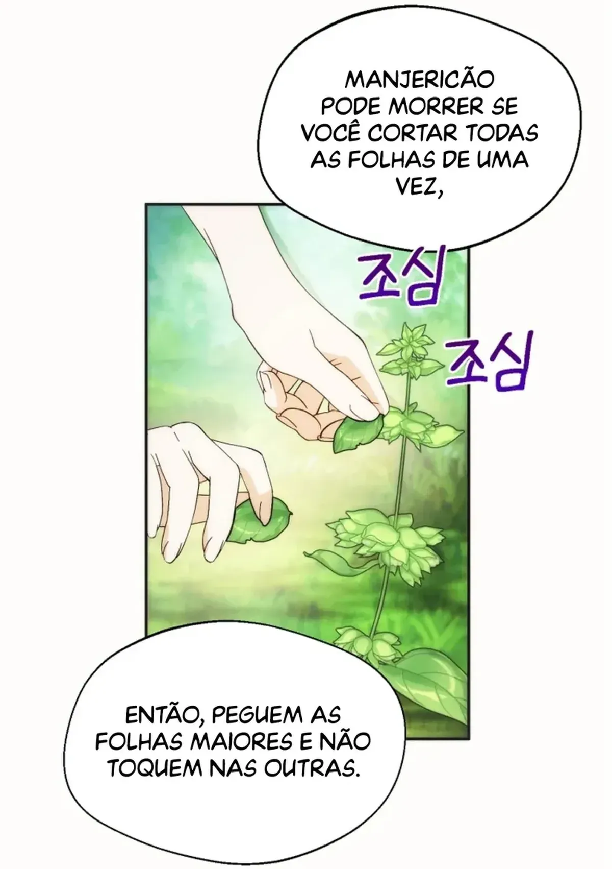 Página 51