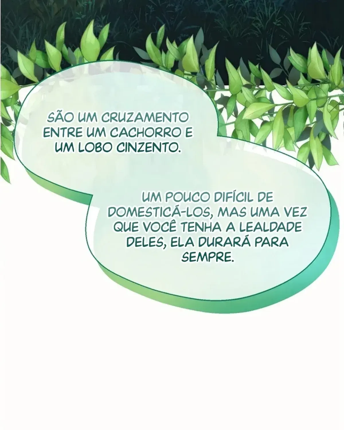 Página 97