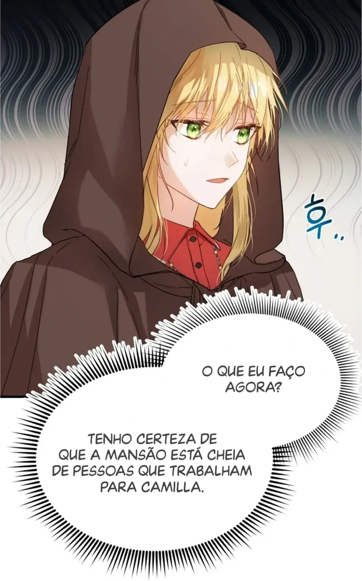 Página 47
