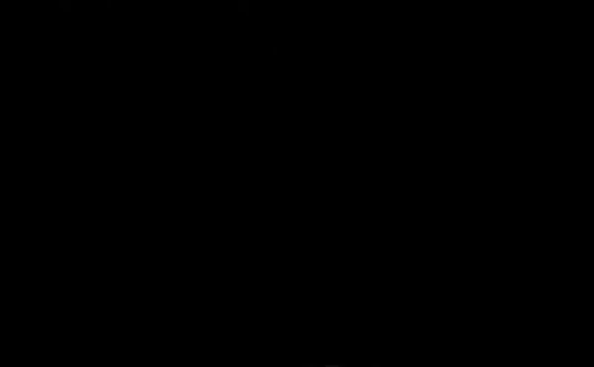 Página 102