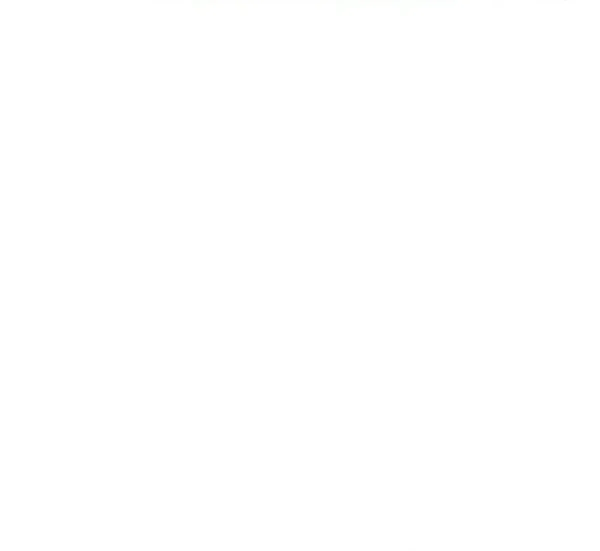 Página 81