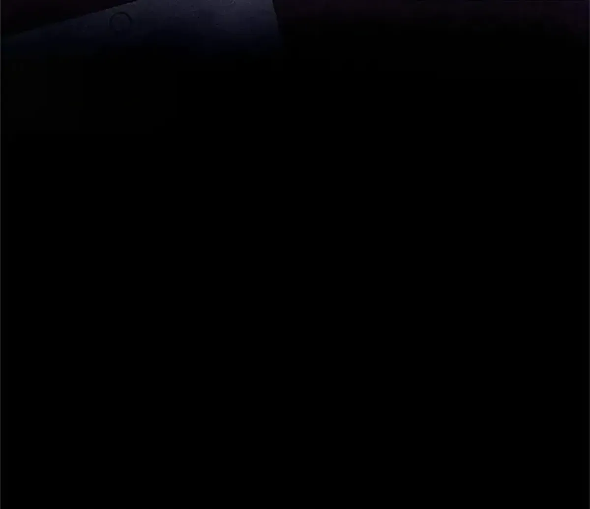 Página 101
