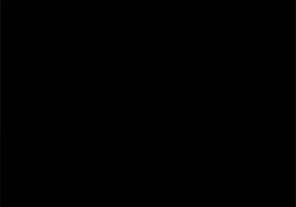 Página 113