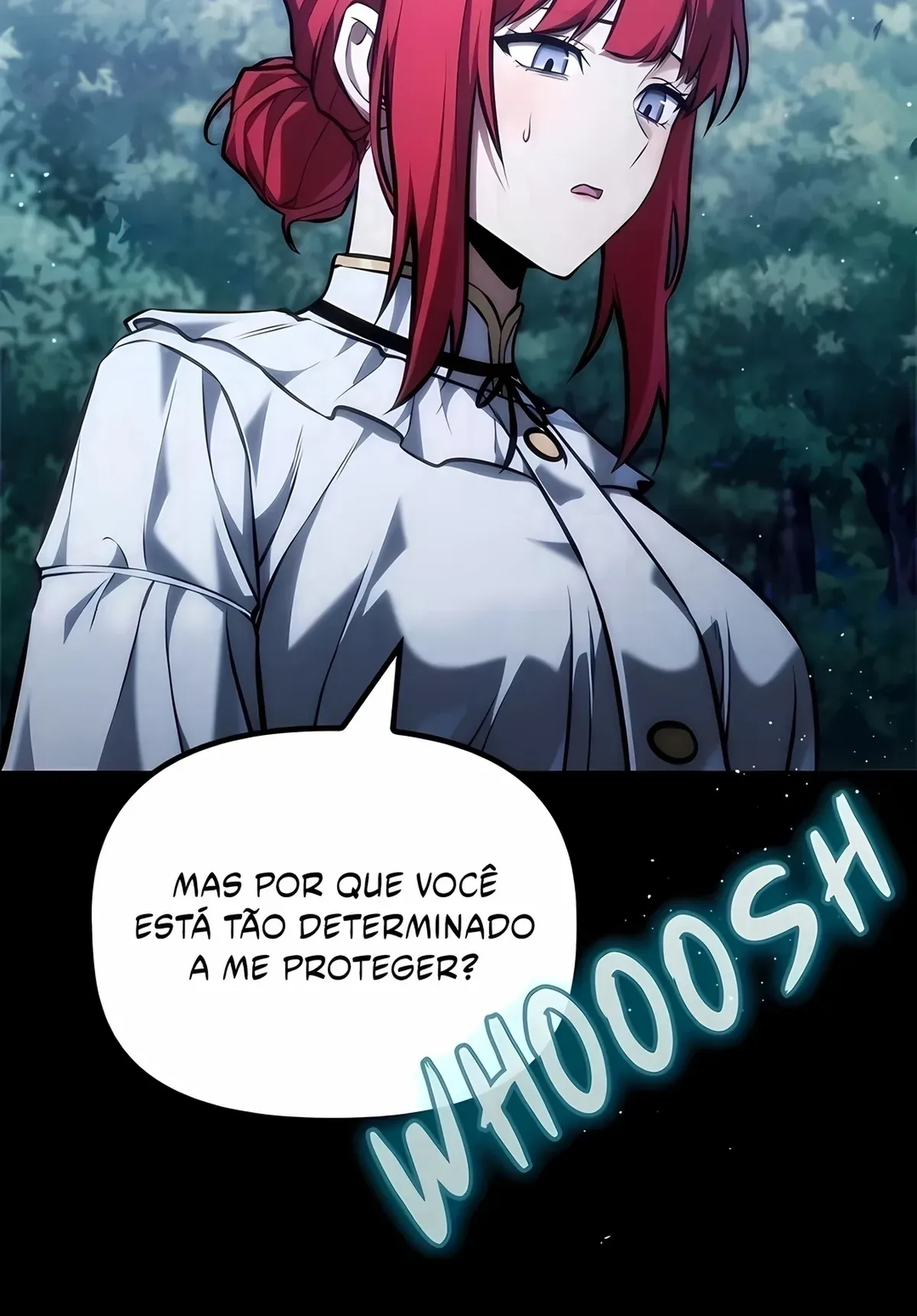 Página 111