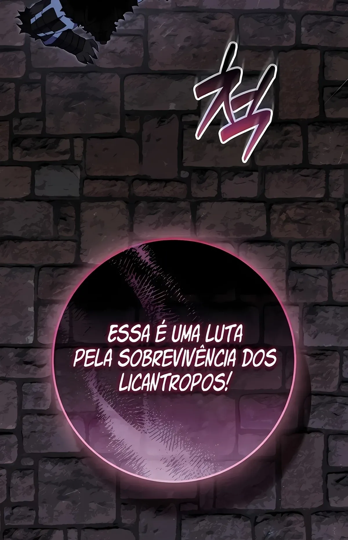 Página 51