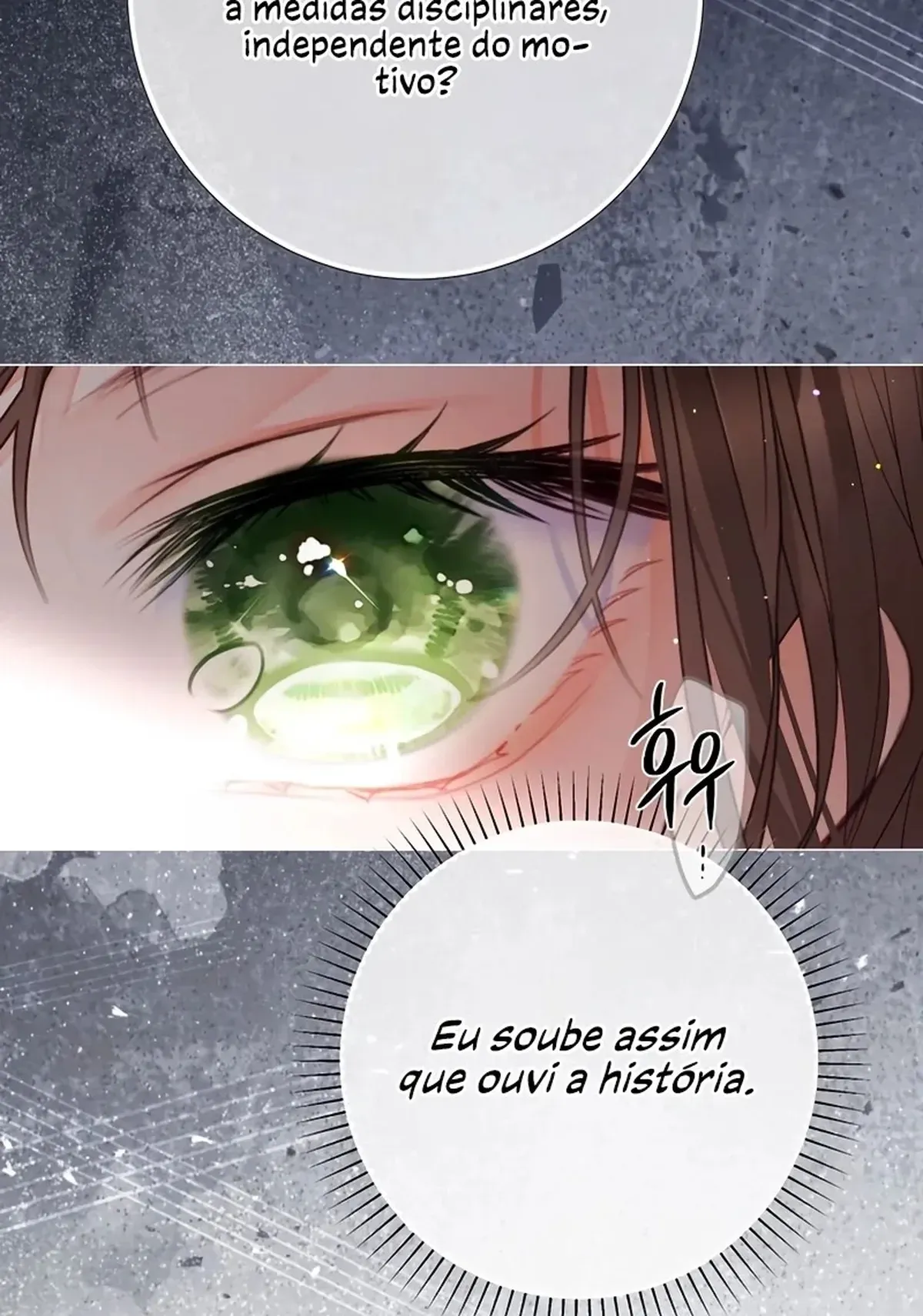 Página 116