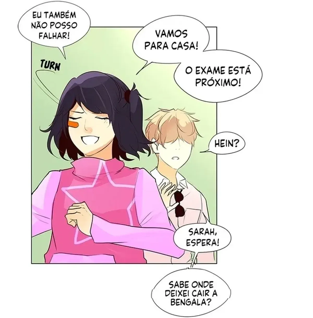 Página 26