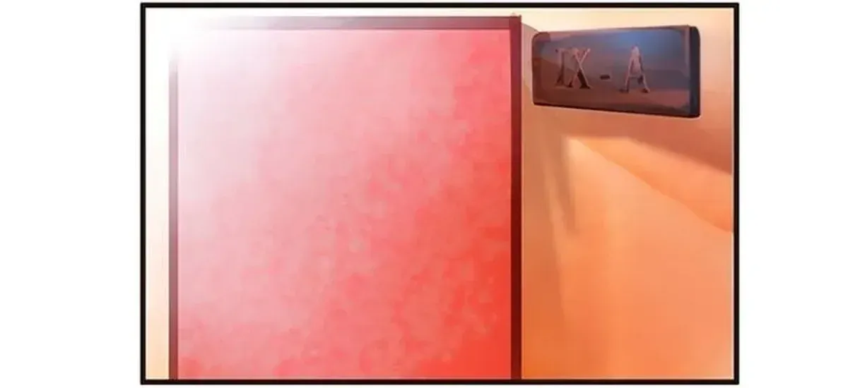 Página 6