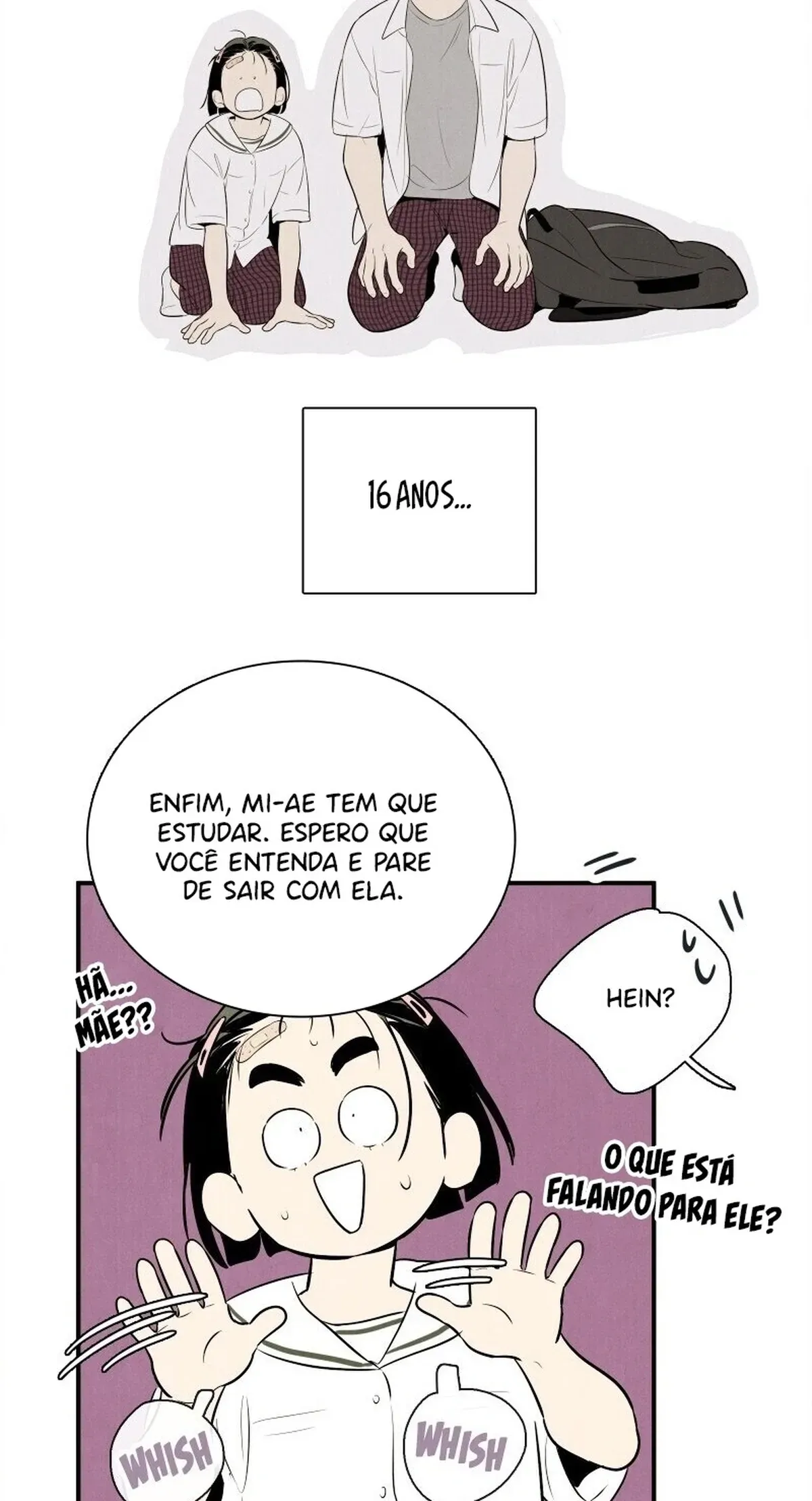 Página 113
