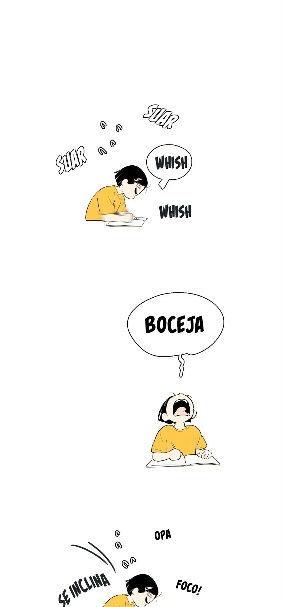 Página 19
