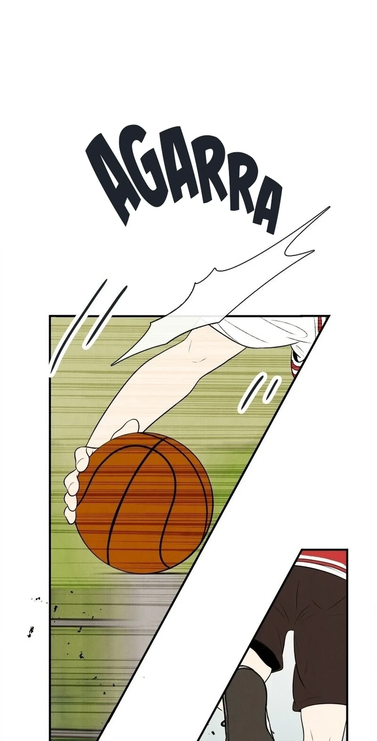 Página 44